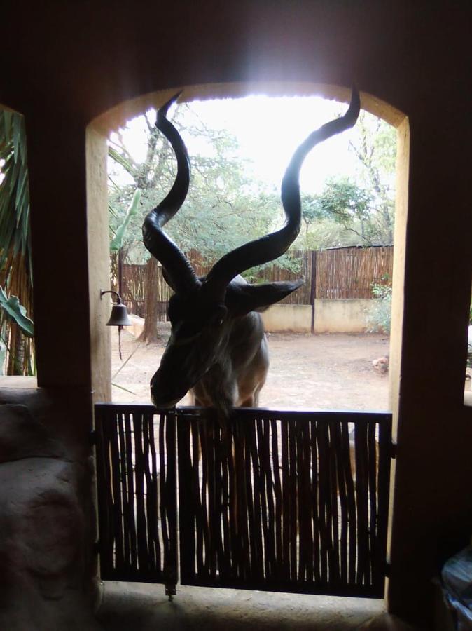 Kiburi Lodge @ Kruger, A Secluded Bushveld Getaway Marloth Park Zewnętrze zdjęcie
